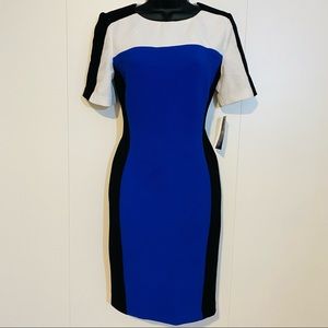 NWat Chaps Dress in Black/Blue/White. Size 8